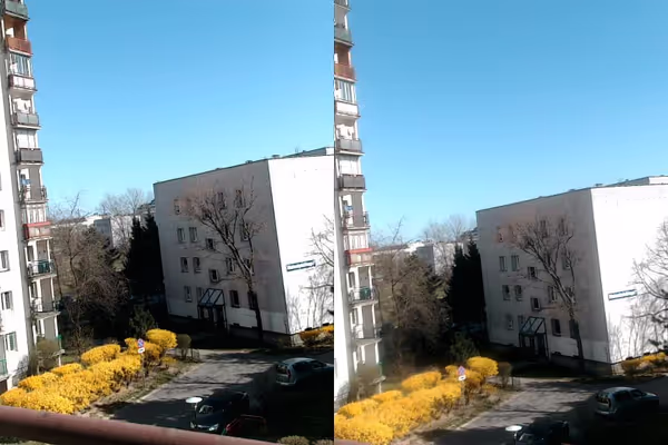 Example image from the camera