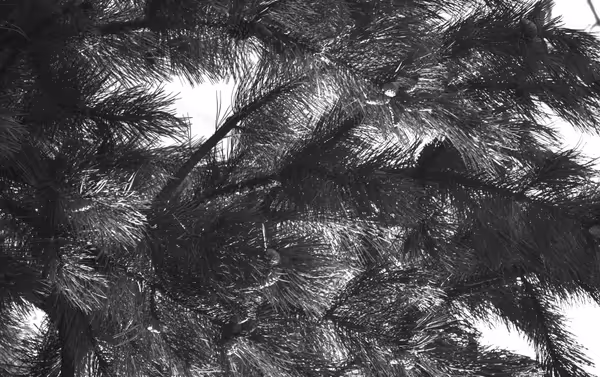 IR, UV cut filter - full visible band