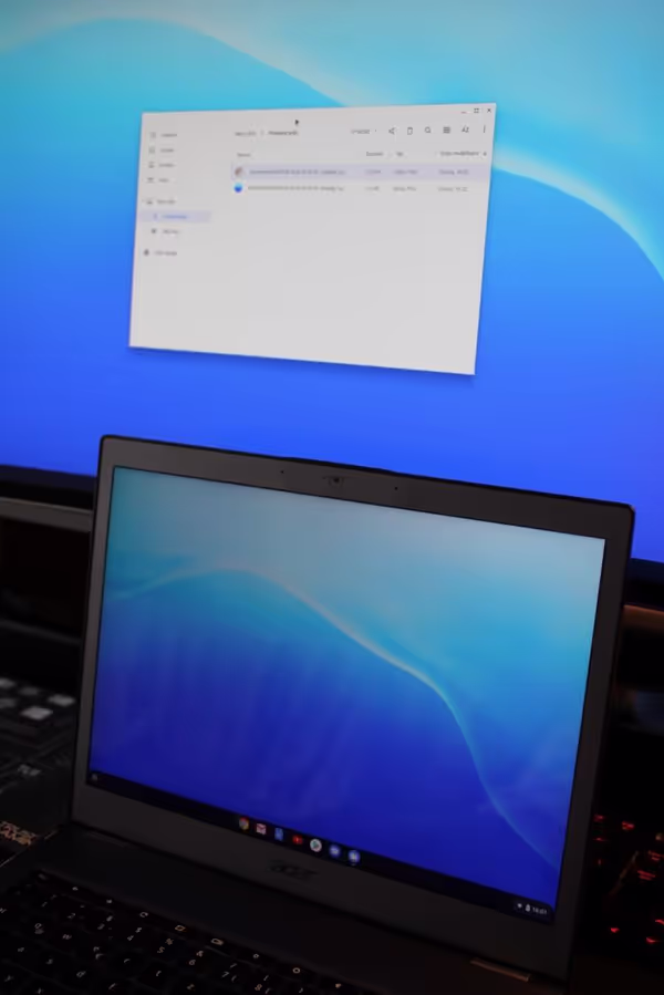 ChromeOS supports DisplayLink devices since 2016