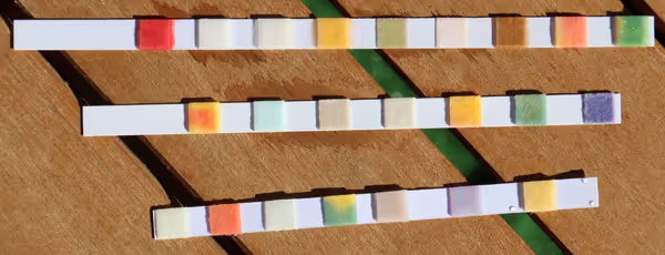 Local tap water results