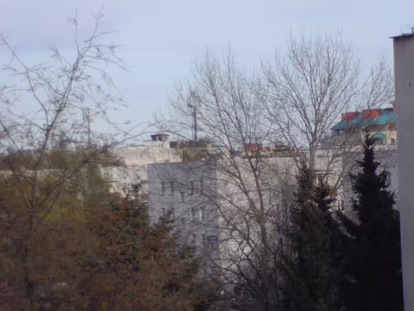 38mpix image scaled down