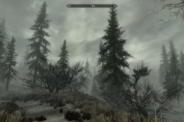 Original Skyrim works fine on Pipo W12