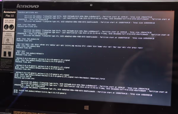 Manual boot configuration for installed Linux