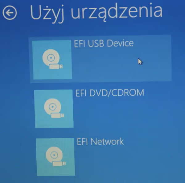 Picking USB boot option