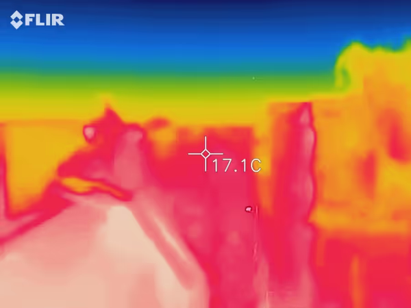 Surroundings thermal image