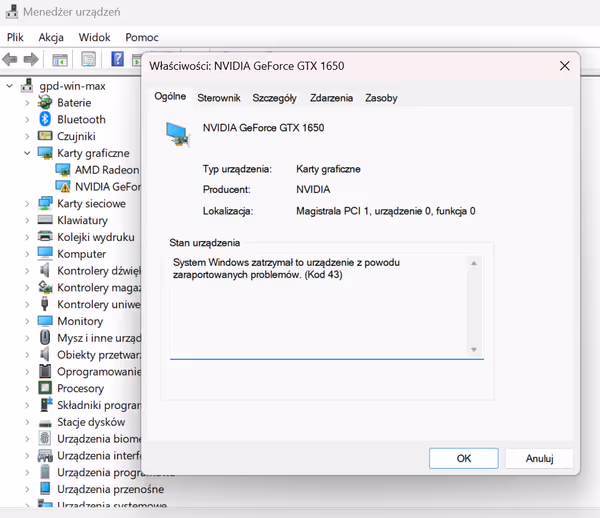 Error 43 after reboot
