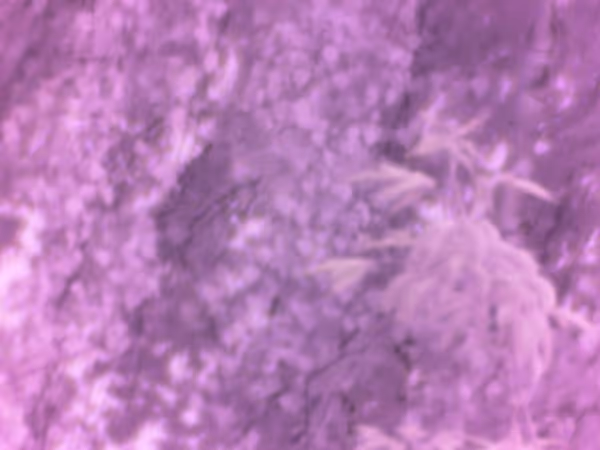 MS LifeCam with no filter attached